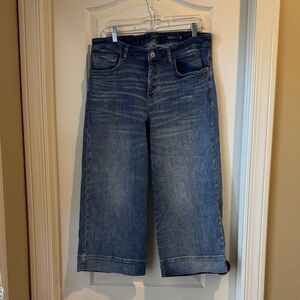 J. Jill Wide Leg Blue Jeans